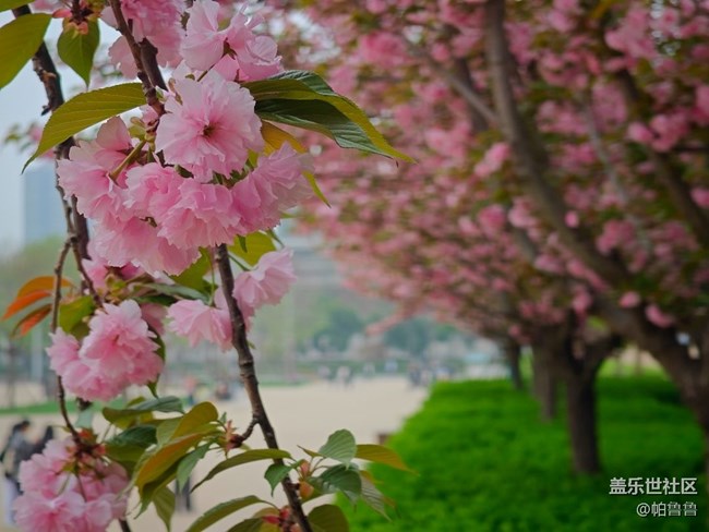 【星部落線下】4.4小雁塔攝影活動(dòng)