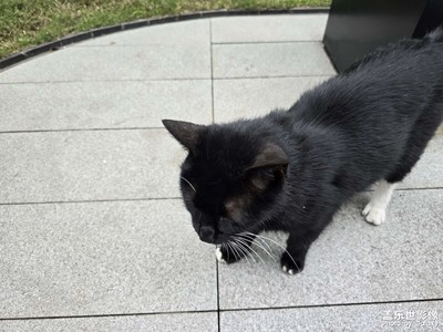 【鏡頭內(nèi)外】+?皆是風(fēng)景