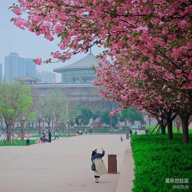 【星部落線下】4.4小雁塔攝影活動(dòng)