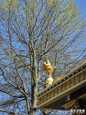 【醉春山】春天就該出門走走，來(lái)一趟迪士尼。