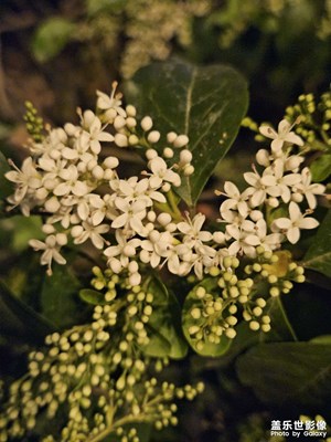 【鏡頭內(nèi)外】夜跑景色