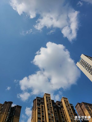 【醉春山】+春光明媚