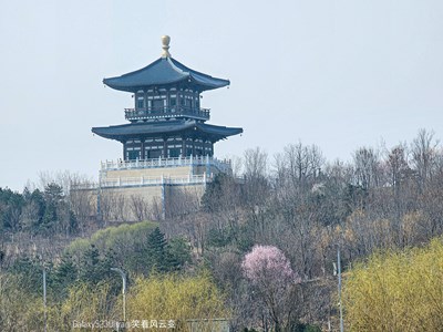 【醉春山】+ Galaxy23Ultra 共赴好春光（二）