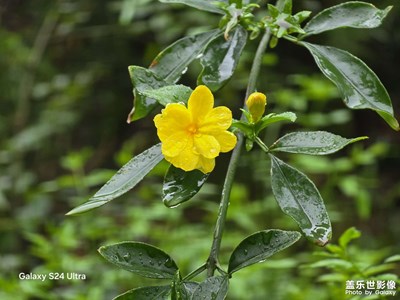 【醉春山】+春暖花開