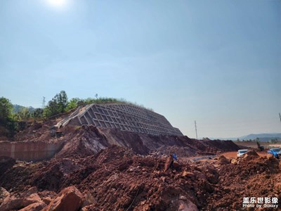 【鏡頭內(nèi)外】日常