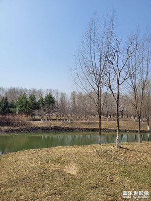 【醉春山】+春天的公園