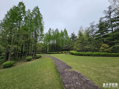 【醉春山】春日游園