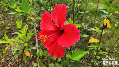 【鏡頭內(nèi)外】+村莊美景