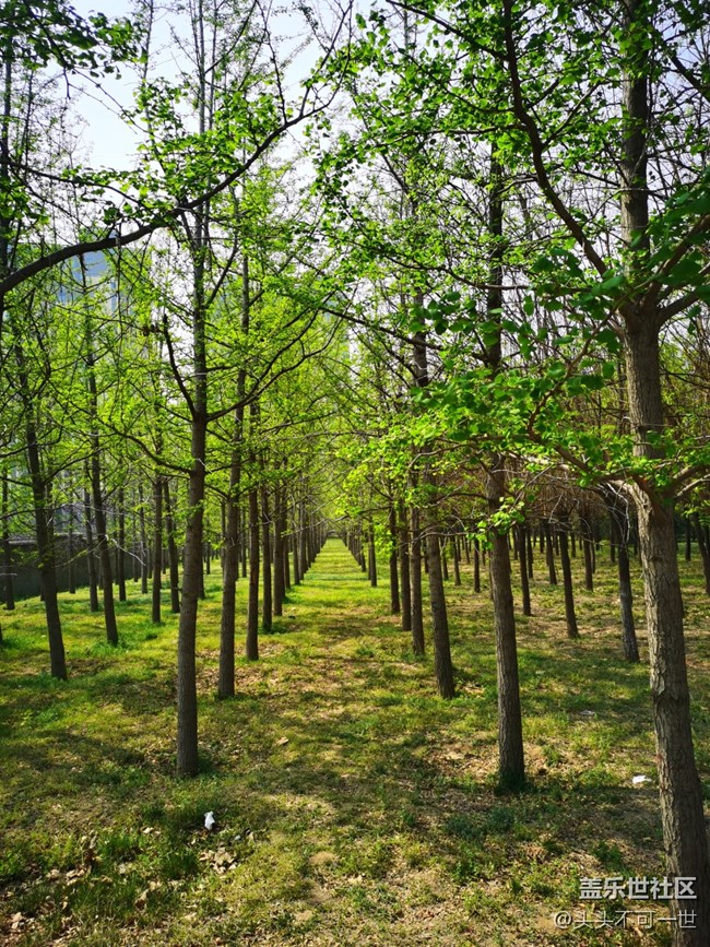 【春日影像詩】+春日美景欣賞