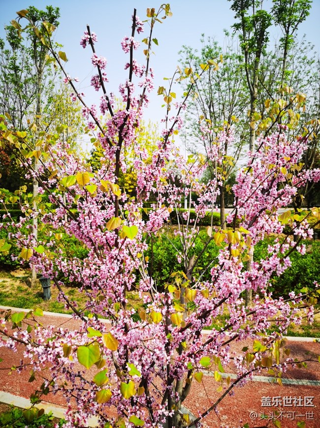 【春日影像詩】+春日美景欣賞