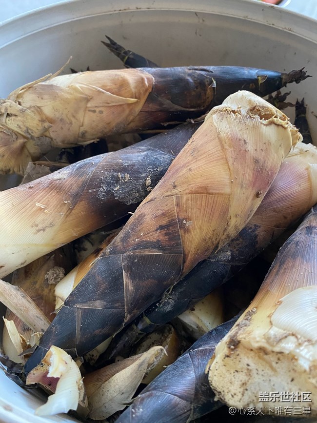 【尋找春天的味道】最好的春味在鄉(xiāng)下