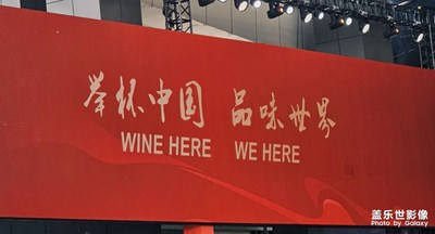 【醉春山】+在醉美瀘州參加春天的酒博會