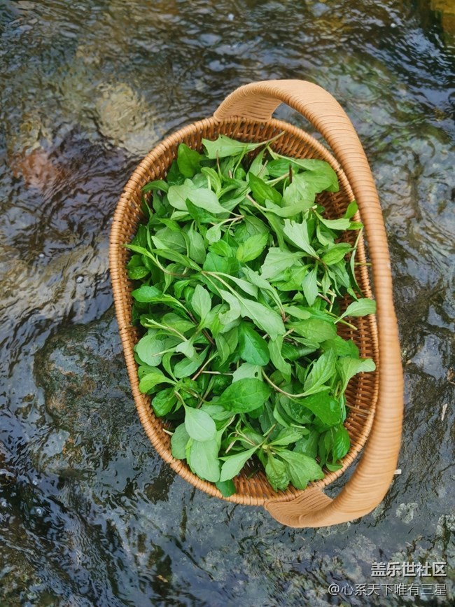 【尋找春天的味道】最好的春味在鄉(xiāng)下