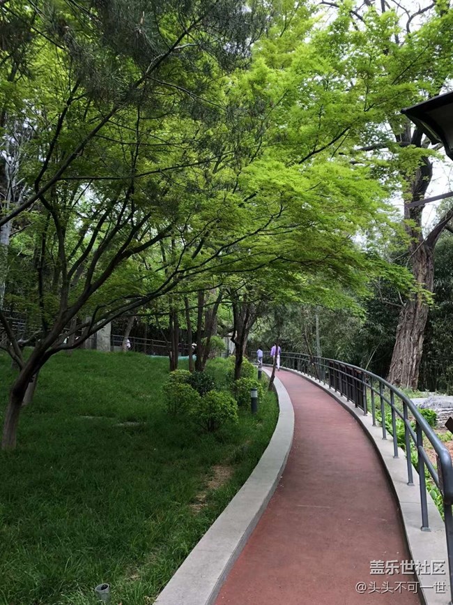 【春日影像詩】+浪漫郁金香