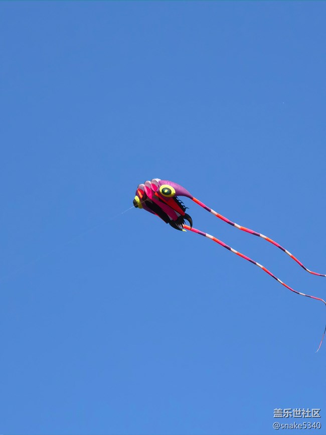 【留白】+風(fēng)箏