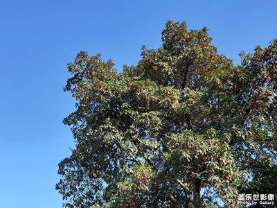 【醉春山】+呼吸新鮮空氣