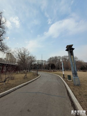 【醉春山】+公園隨拍