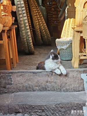 【醉春山】+春日古城溫暖的光