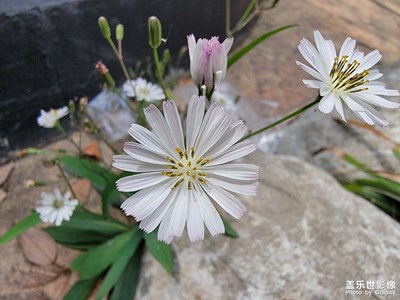 【鏡頭內(nèi)外】+美好的一天