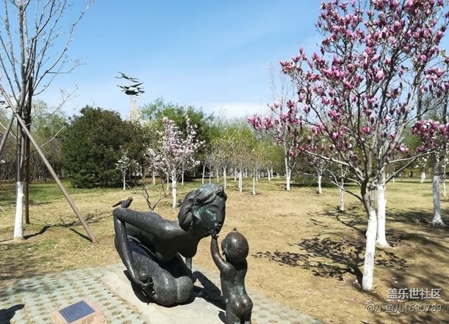 【春日影像诗】公园中的雕塑