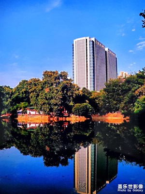 【鏡頭內(nèi)外】+?公園