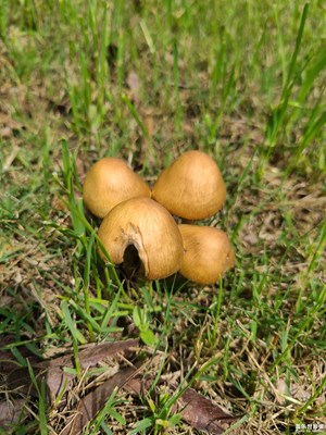 【鏡頭內(nèi)外】春日午后