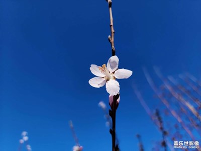 【鏡頭內(nèi)外】+ 皆是美景
