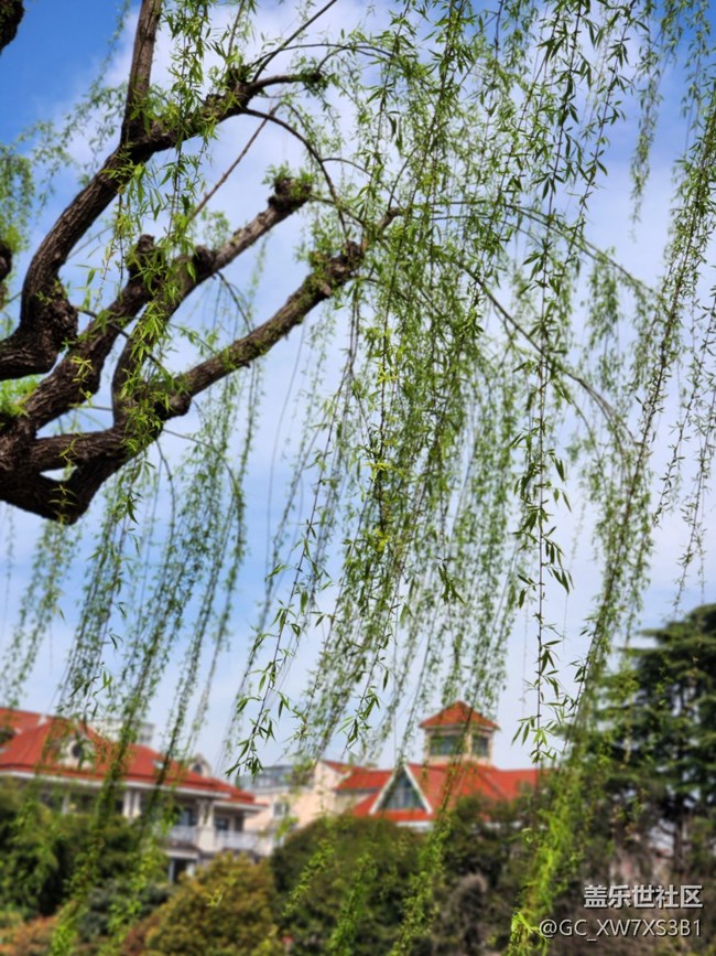 #花之語——春天的氣息