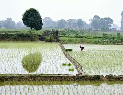【鏡頭內(nèi)外】農(nóng)忙春種