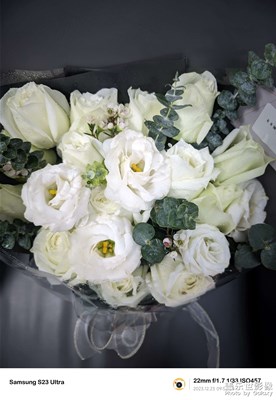 【鏡頭內(nèi)外】+ 皆是風(fēng)景