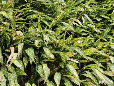 【鏡頭內(nèi)外】+處處風景