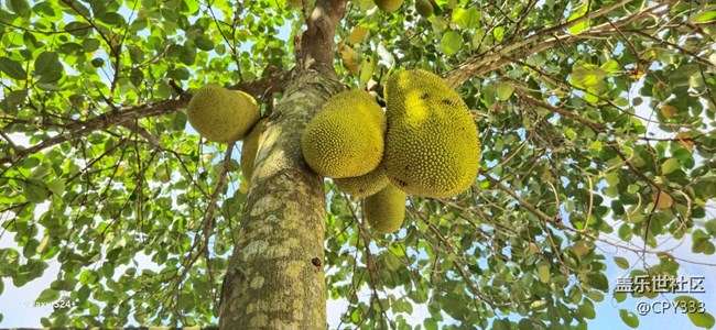 大海南的夏天！