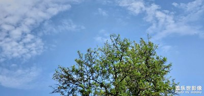 【鏡頭內(nèi)外】+自然之美