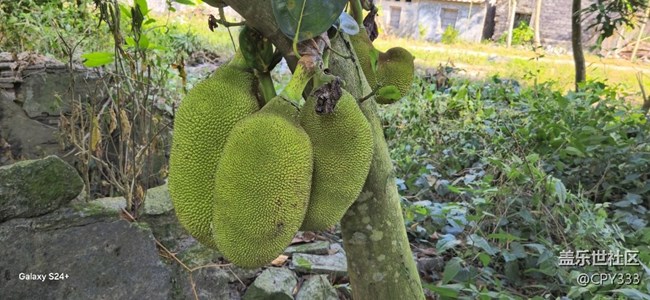 大海南的夏天！