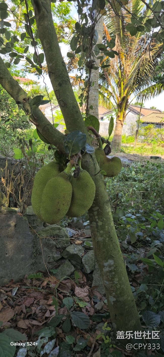 大海南的夏天！