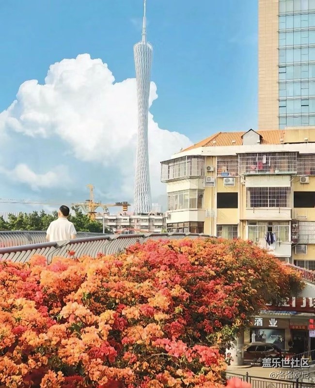 【尋找春天的味道】春天的美景