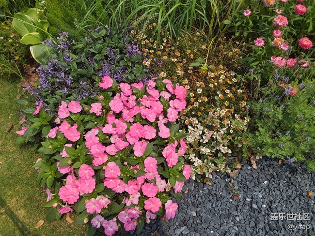 【尋找春天的味道】鮮花盛開