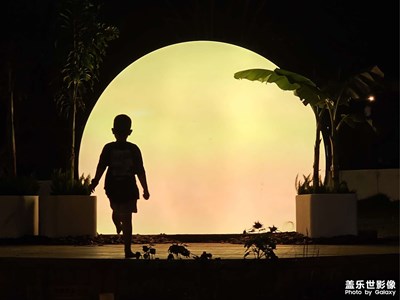 【鏡頭內(nèi)外】悠閑自在