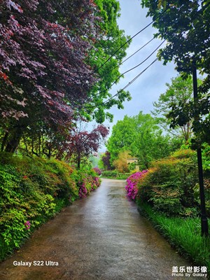 看雨落下的風景