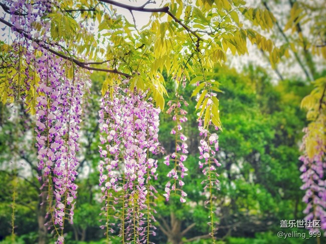 【活動(dòng)招募】上海星部落4月20日AI體驗(yàn)活動(dòng)招募