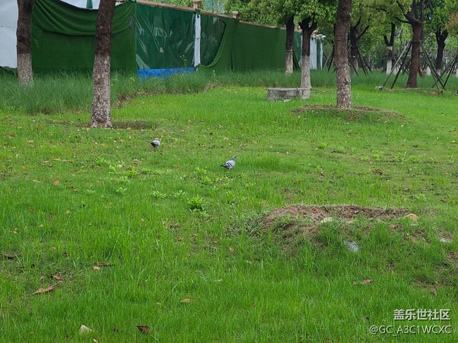 【尋找春天的味道】雨后春天