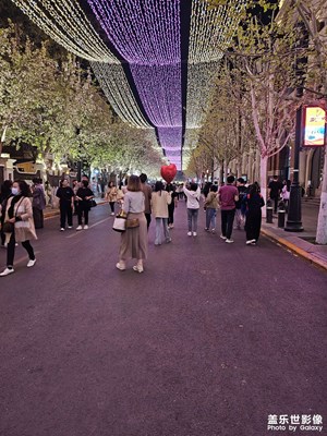 【生活的寫意】+小逛天津民園海棠花節(jié)