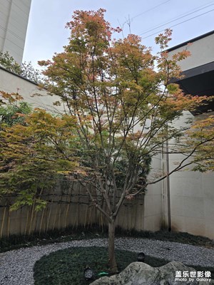 【生活的寫意】+?風(fēng)景來了