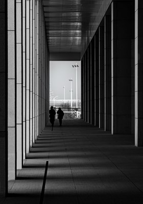 鏡頭捕捉瞬間，光影定格永恒