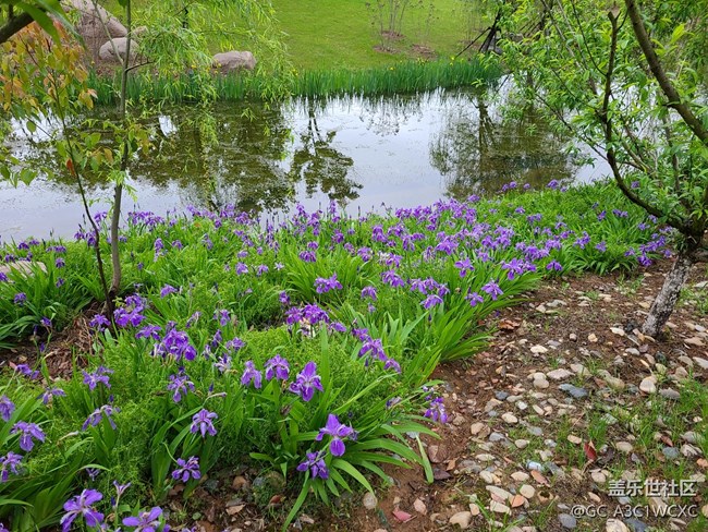 【尋找春天的味道】雨后春天