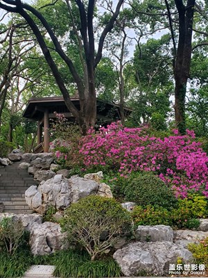 【生活的寫(xiě)意】+ 傍晚的公園