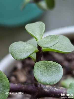 【生活的寫意】+ 路邊隨拍