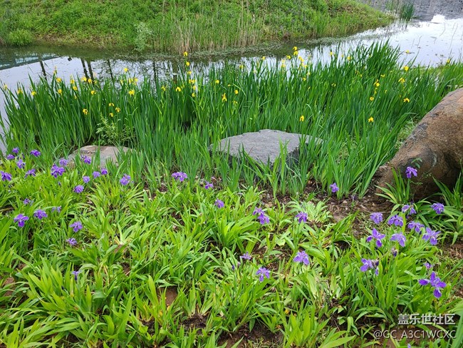 【尋找春天的味道】雨后春天