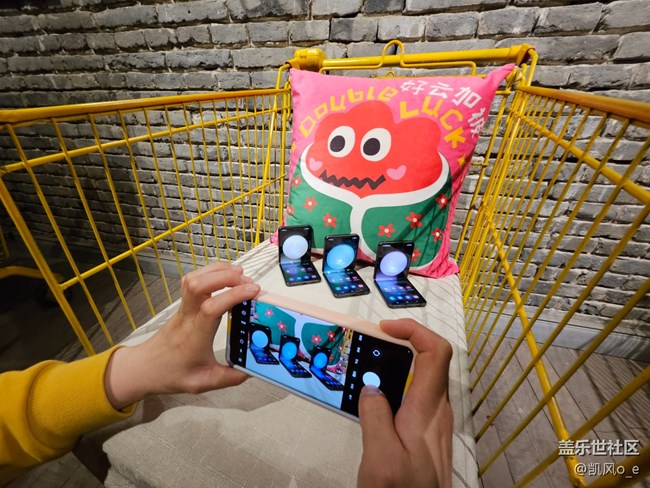 【沈陽藝術攝影】藝術攝影活動回顧