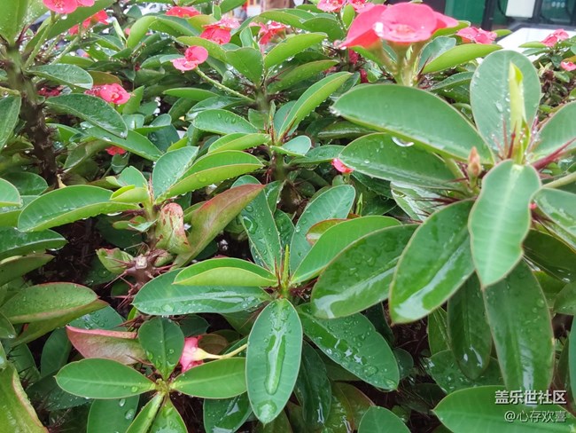 【春天與健康約個(gè)會(huì)】昨日健走